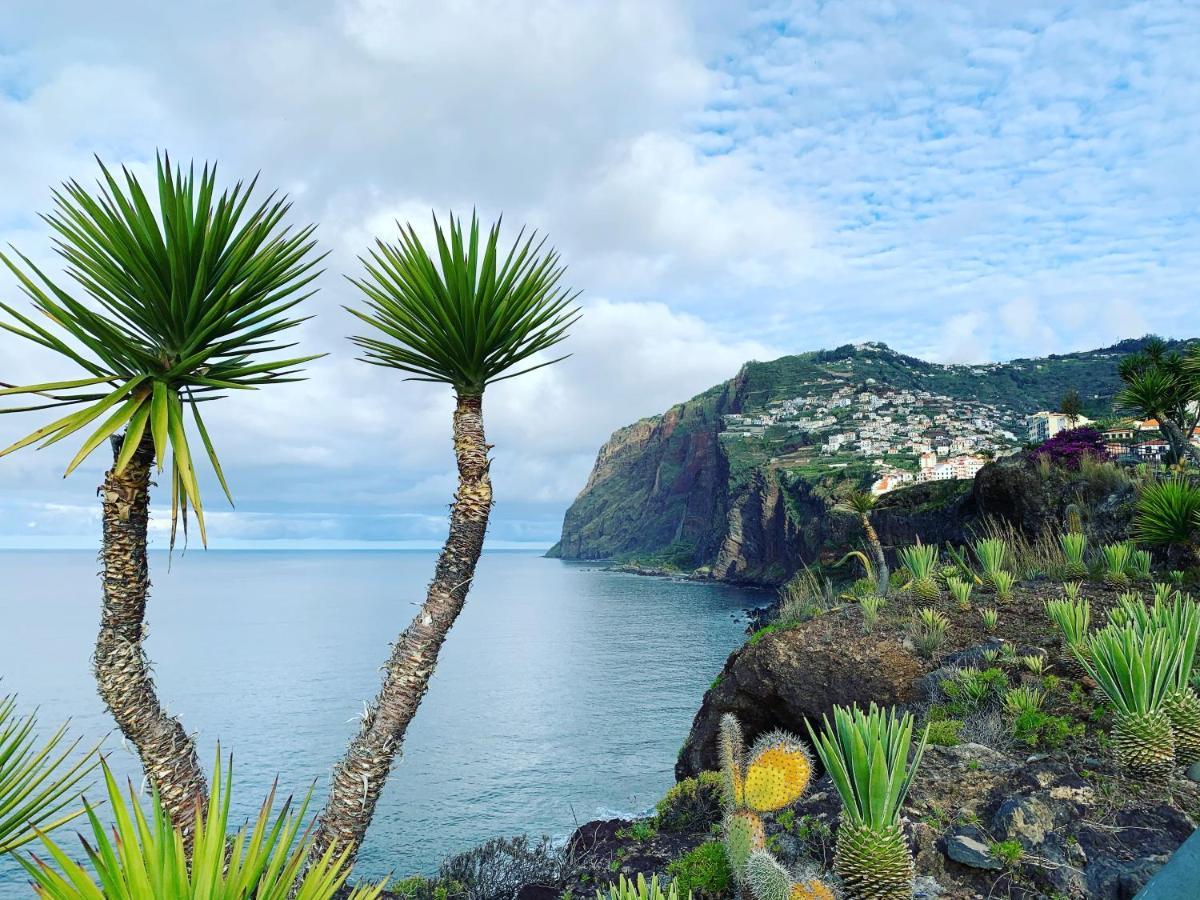 Ocean Cliff Apartment Santa Cruz  Luaran gambar